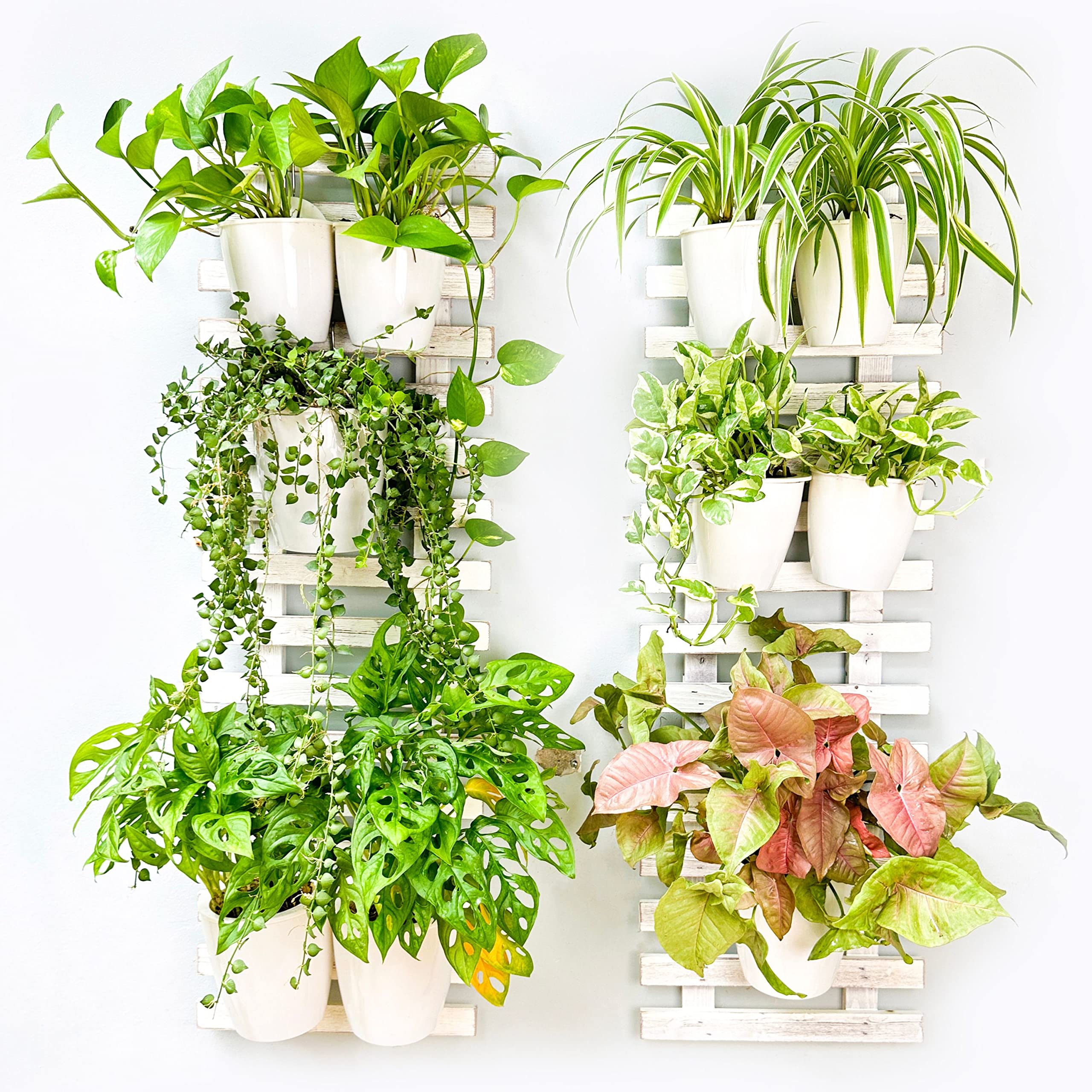 Amazon.com: ShopLaLa Wooden Wall Planters - 2 Pack Wall Mounted